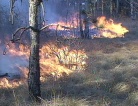 Gli incendi boschivi